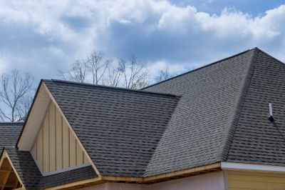 Asphalt Shingle Roof