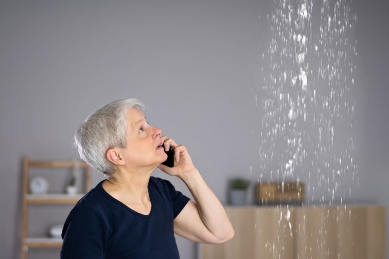 Specialized Leak Repair Experts